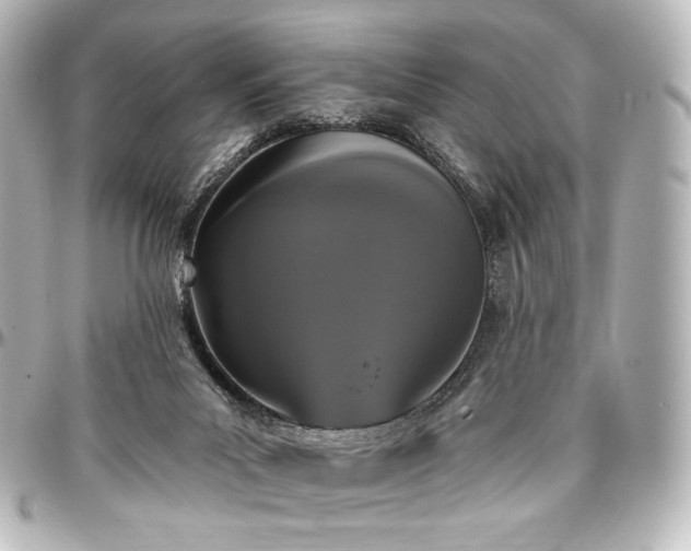 X0000097290023200802221322