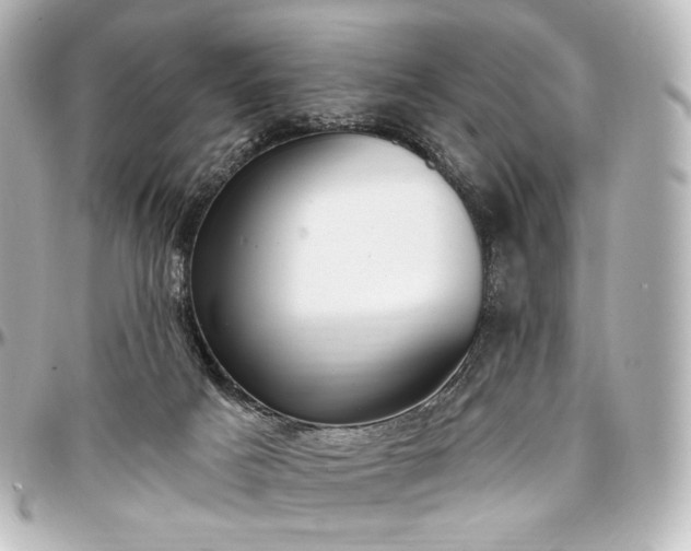 X0000097290025200802221322