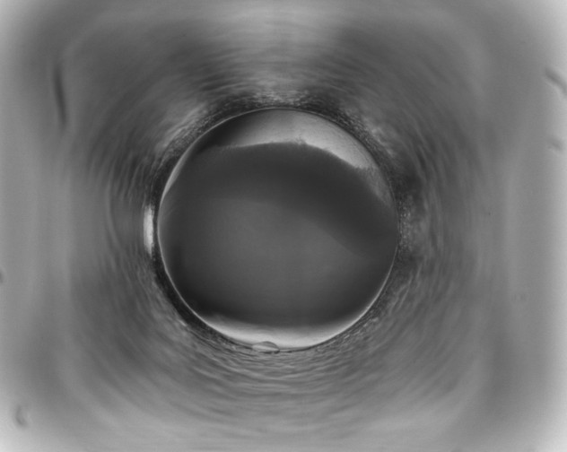 X0000097290027200802221322