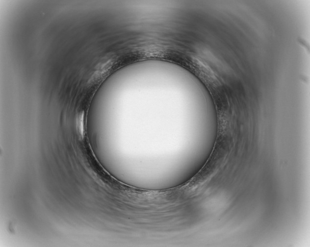 X0000097290028200802221322