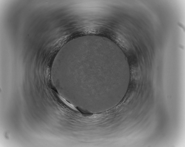 X0000097290029200802221322