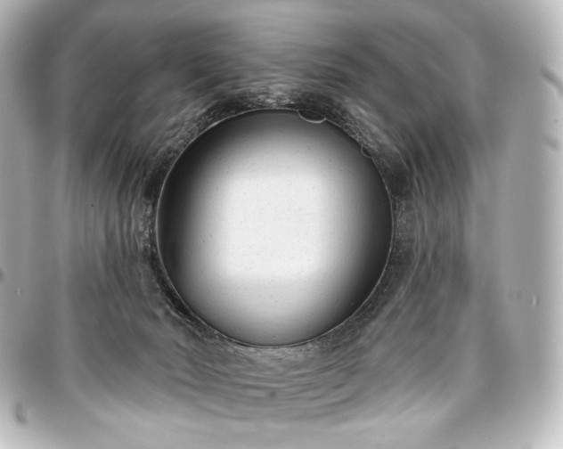 X0000097290030200802221322