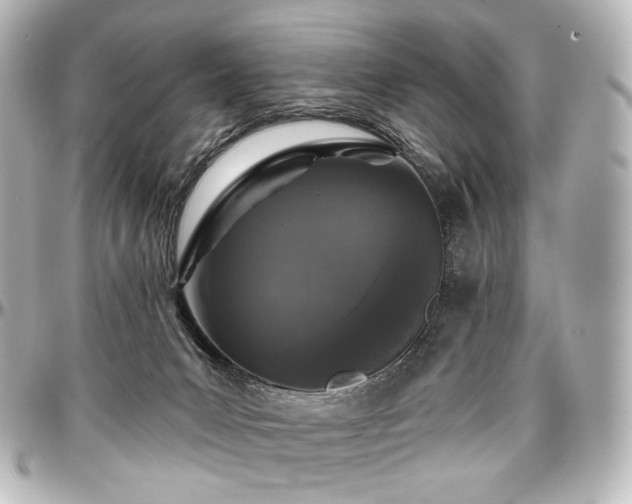 X0000097290031200802221322
