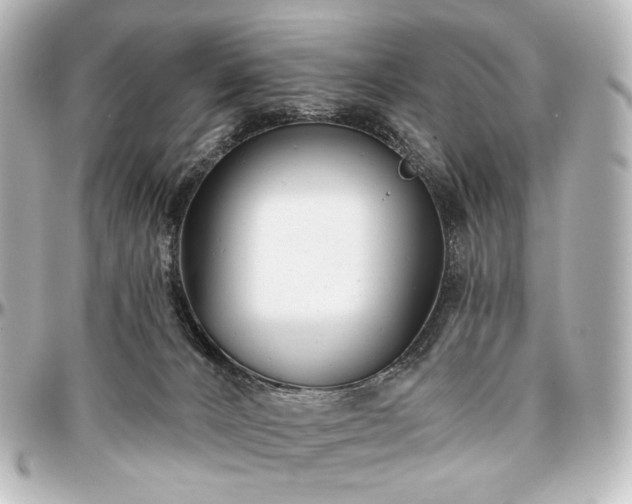 X0000097290032200802221322