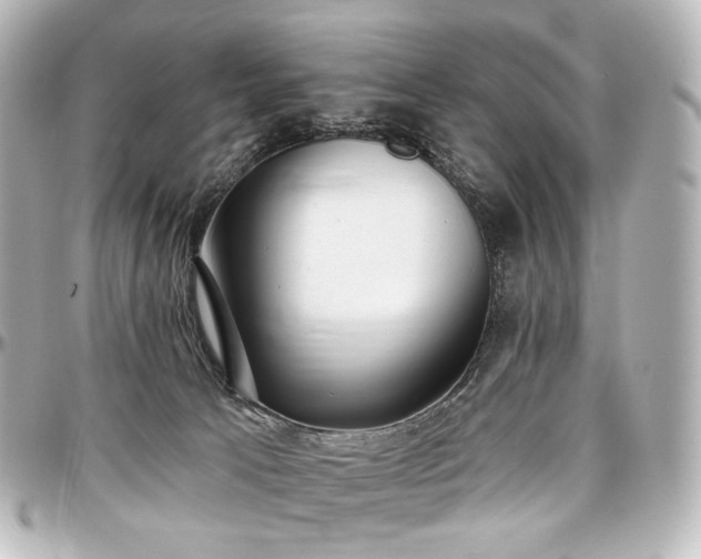 X0000097290033200802221322