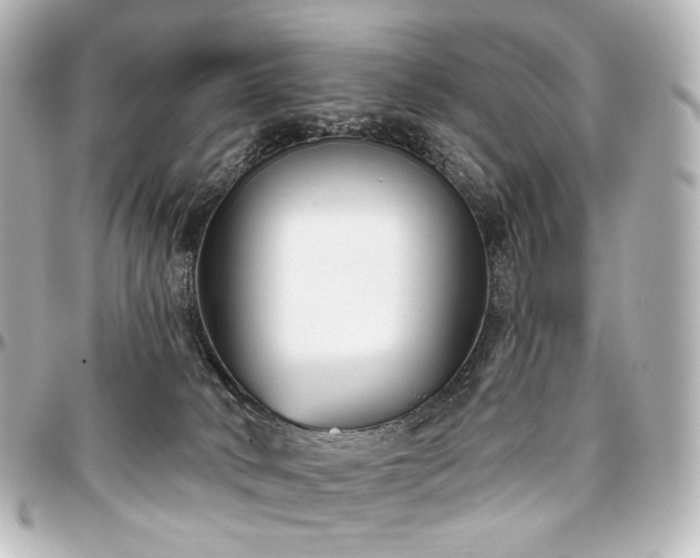 X0000097290034200802221322