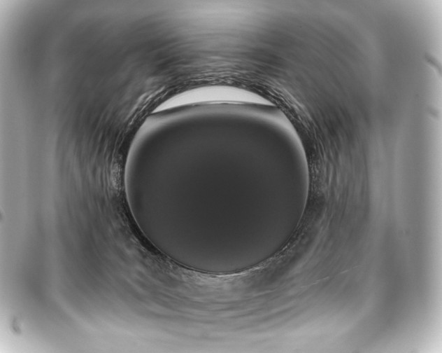 X0000097290035200802221322