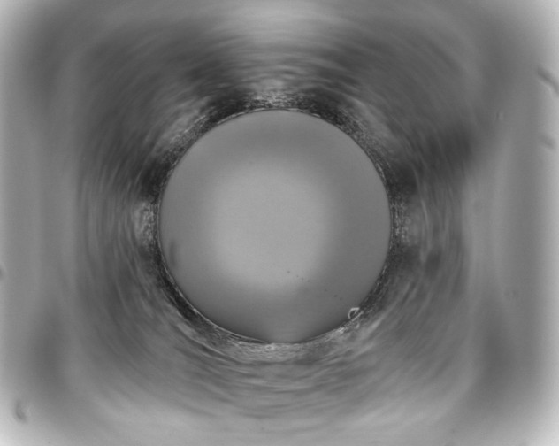 X0000097290036200802221322