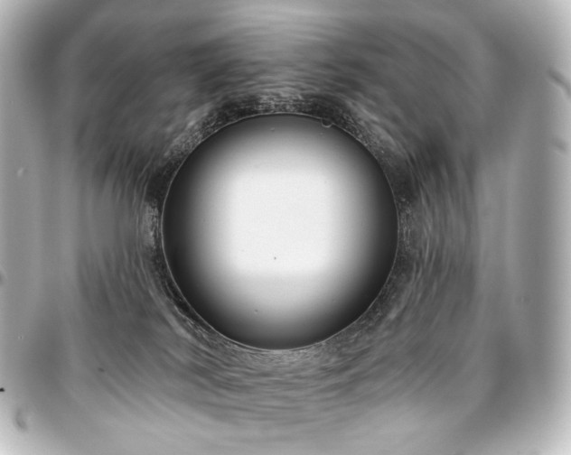 X0000097290038200802221322