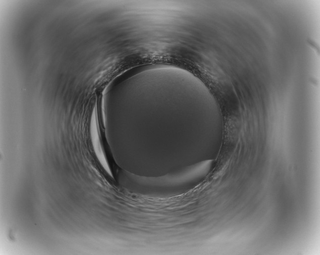 X0000097290039200802221322