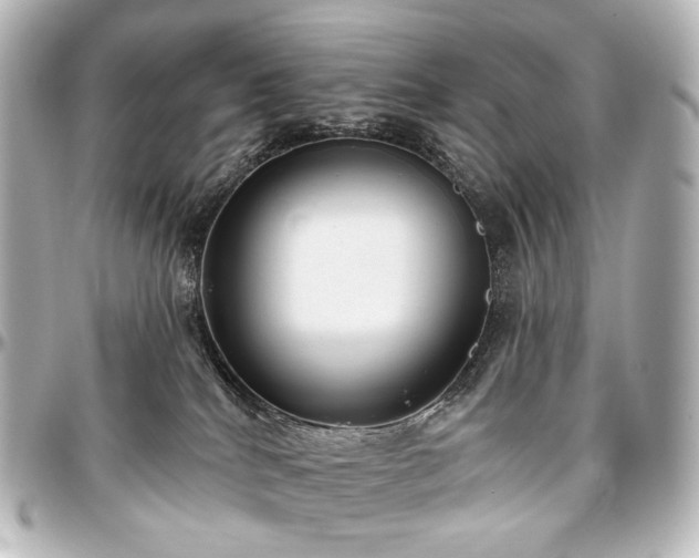 X0000097290040200802221322