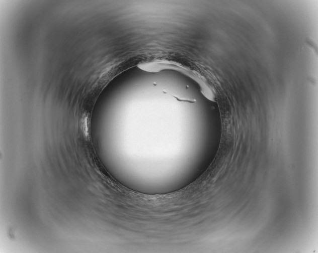 X0000097290042200802221322