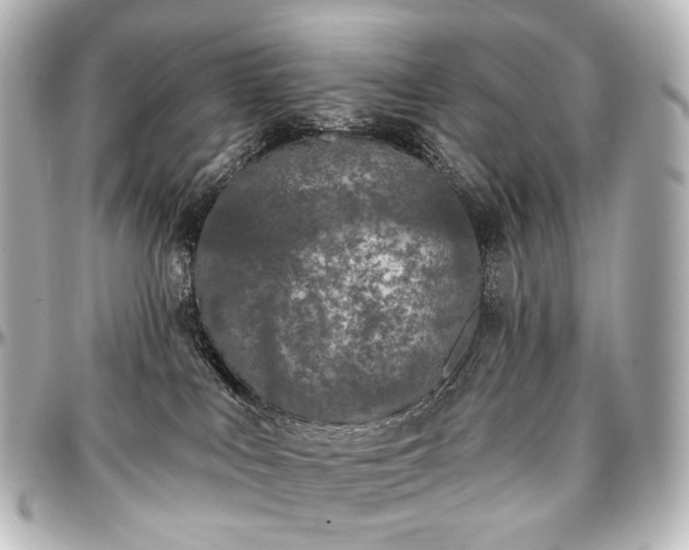 X0000097290043200802221322