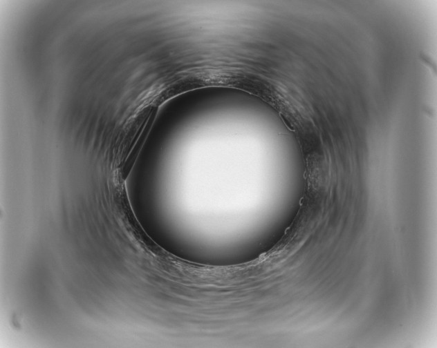 X0000097290044200802221322