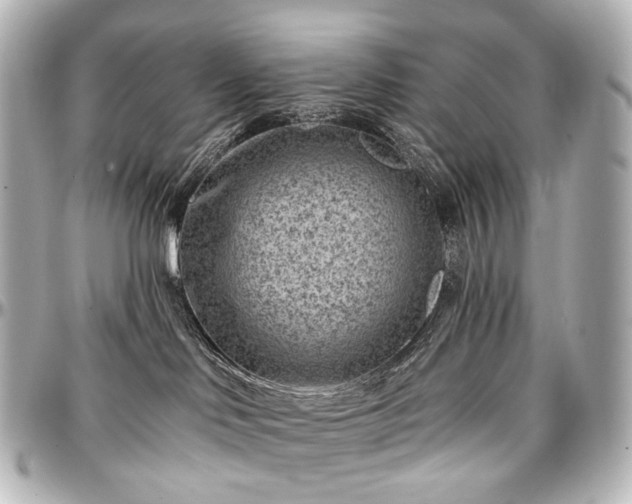 X0000097290046200802221322