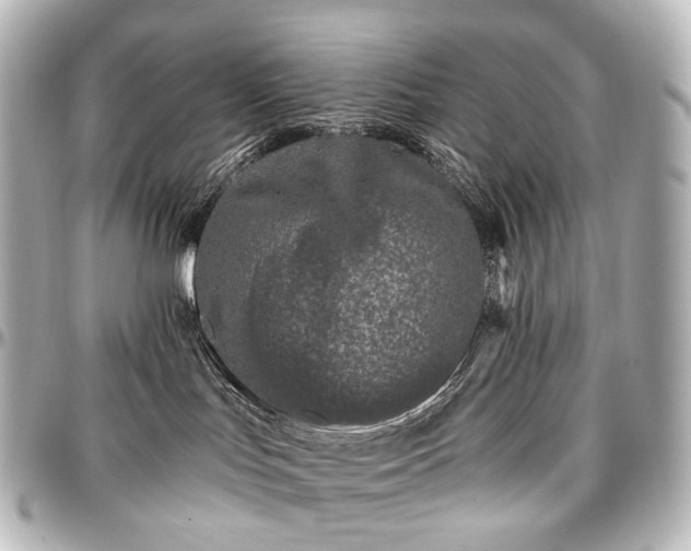 X0000097290047200802221322