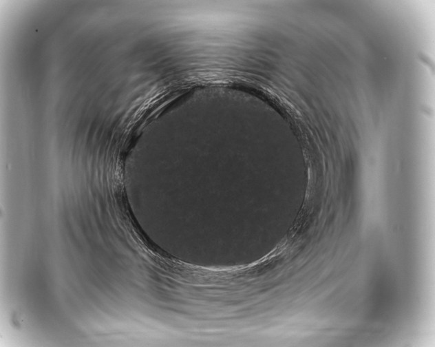 X0000097290048200802221322