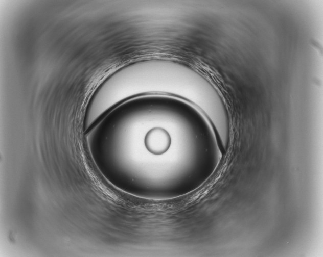 X0000097290049200802221321