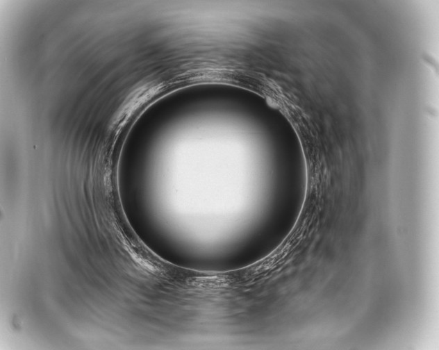 X0000097290050200802221321