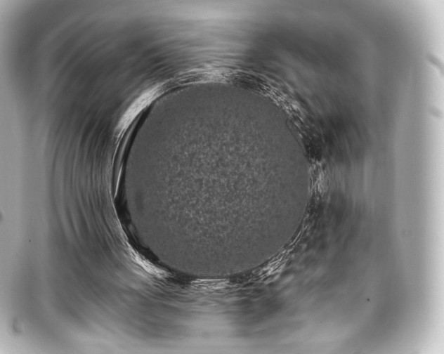 X0000097290051200802221321