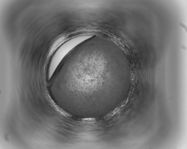 X0000097290053200802221321