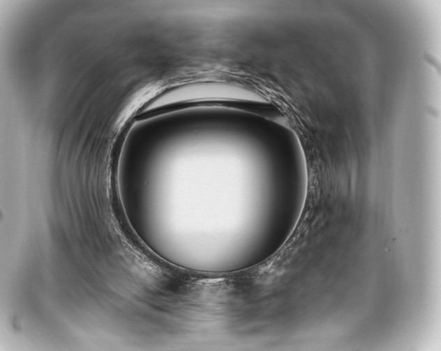 X0000097290054200802221321