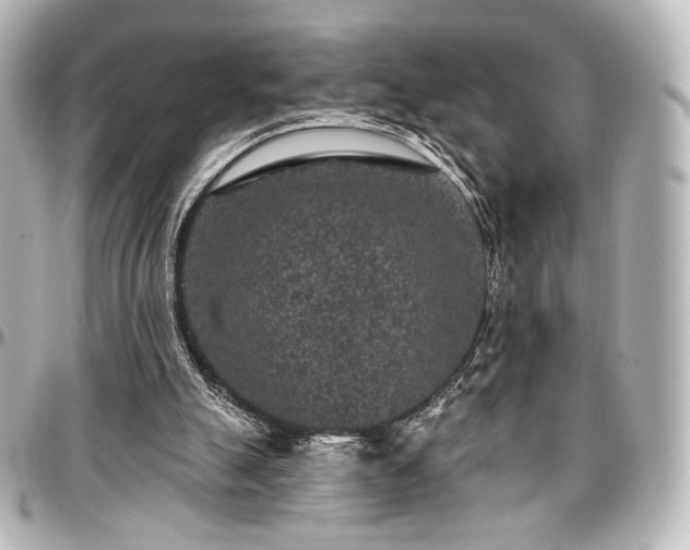 X0000097290055200802221321