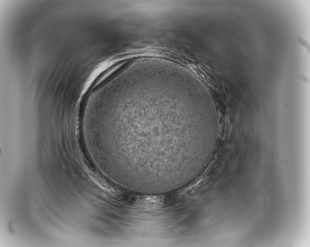 X0000097290056200802221321