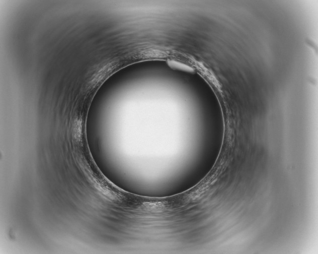 X0000097290057200802221321