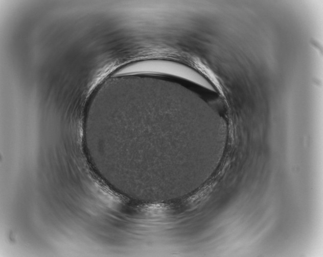 X0000097290059200802221321
