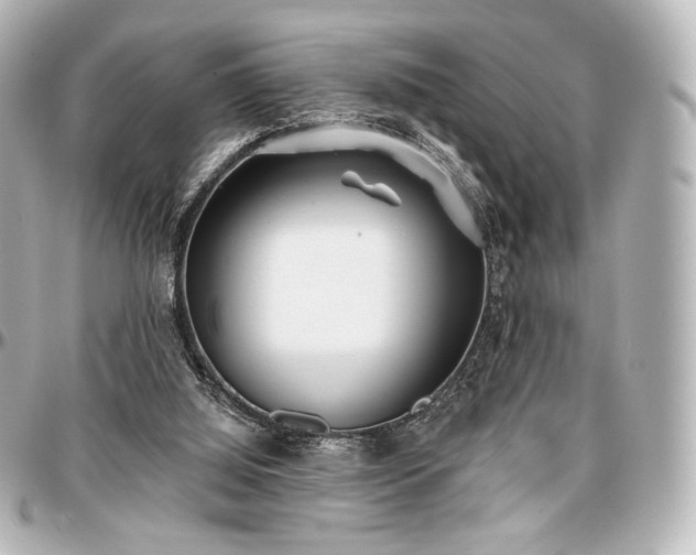 X0000097290060200802221321