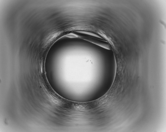 X0000097290062200802221321