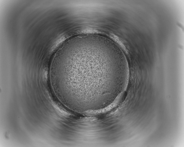 X0000097290063200802221321
