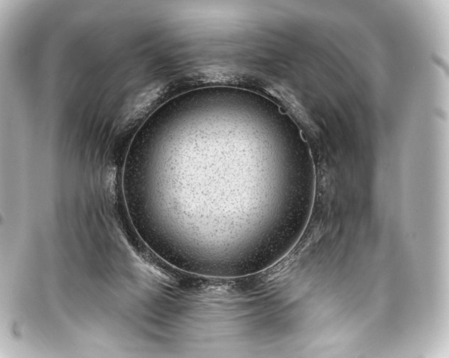 X0000097290066200802221321