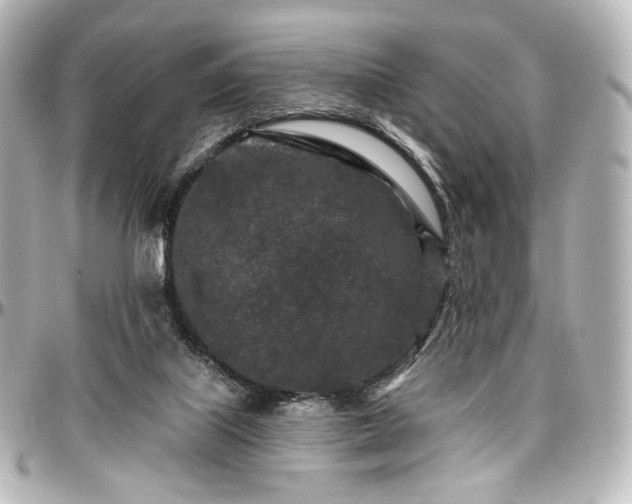 X0000097290067200802221321