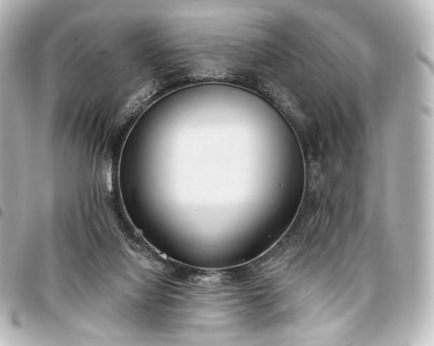 X0000097290068200802221321