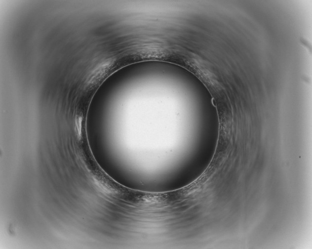 X0000097290070200802221321