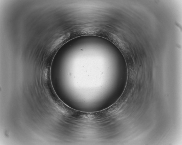 X0000097290071200802221321
