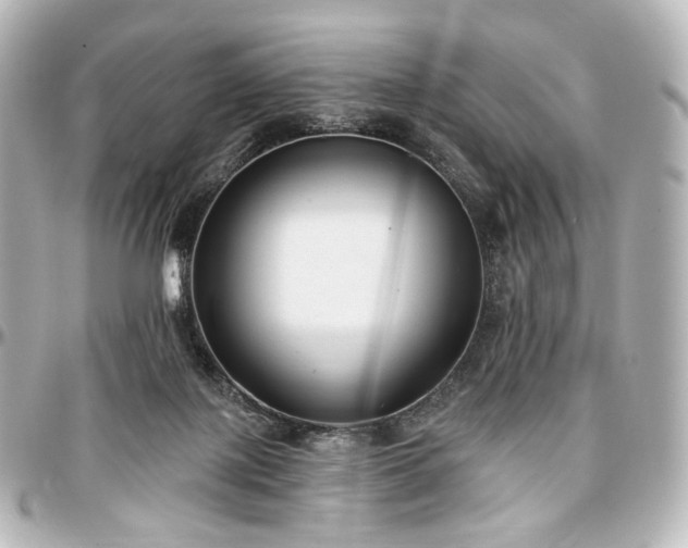 X0000097290075200802221321