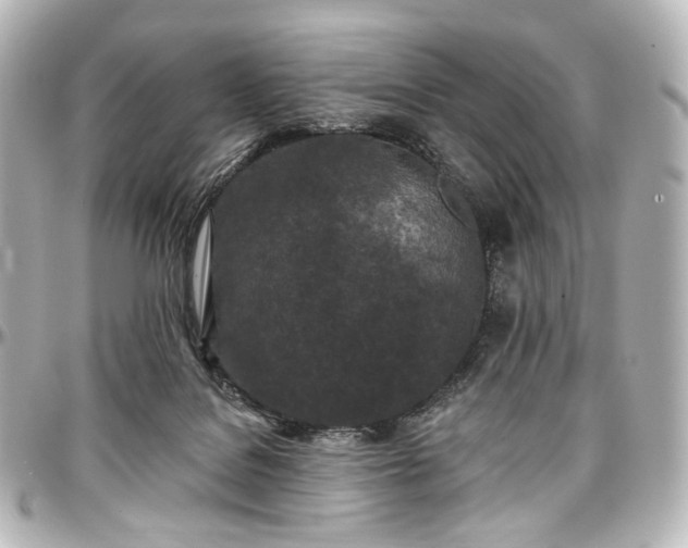 X0000097290076200802221321