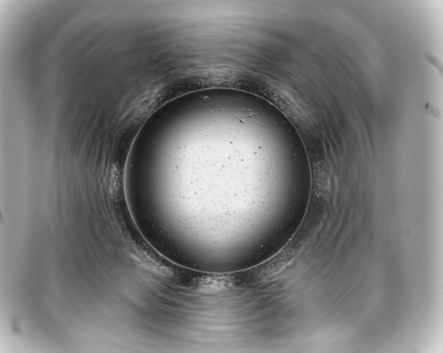 X0000097290077200802221321