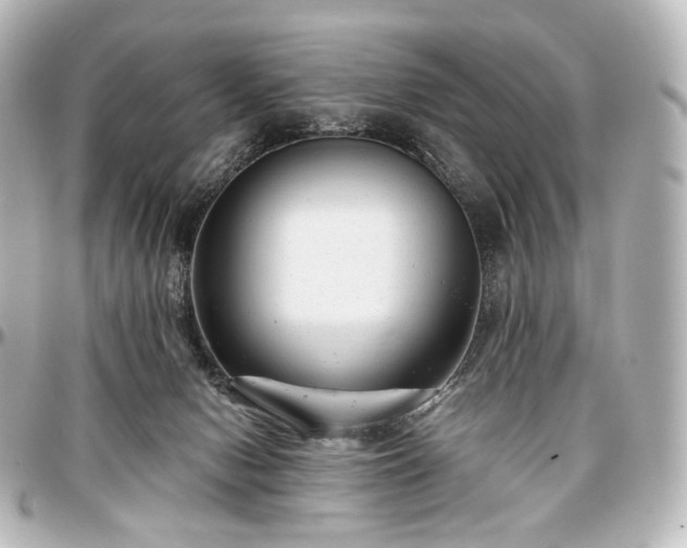 X0000097290078200802221321