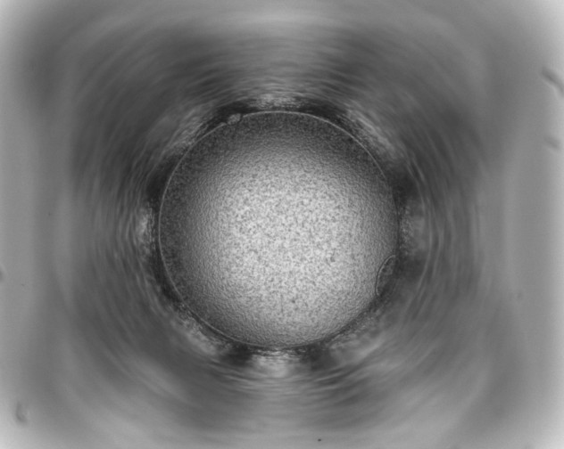 X0000097290079200802221322