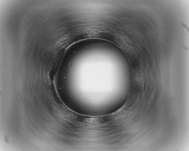 X0000097290082200802221322