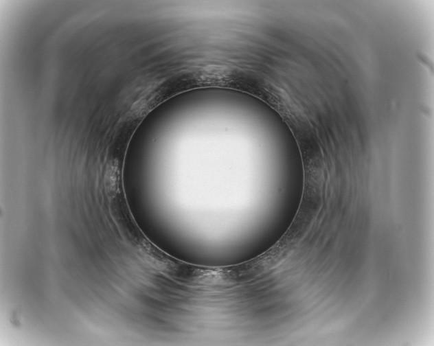 X0000097290083200802221322