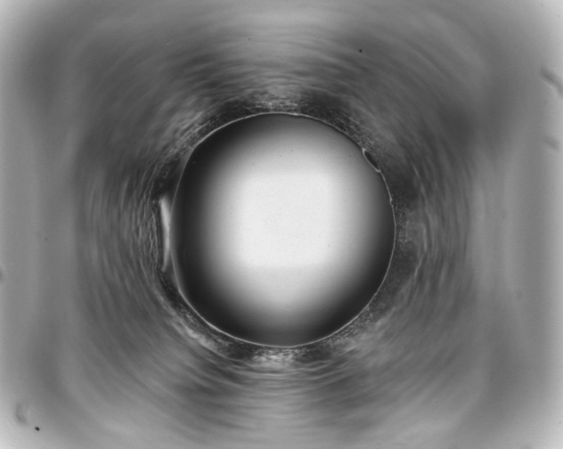 X0000097290084200802221322