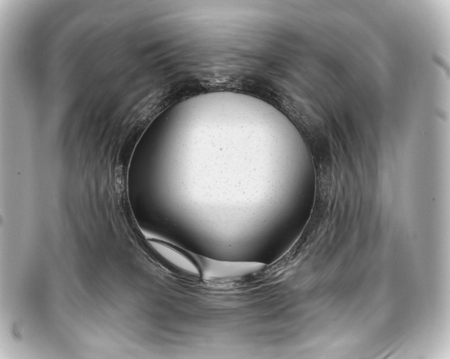 X0000097290085200802221322