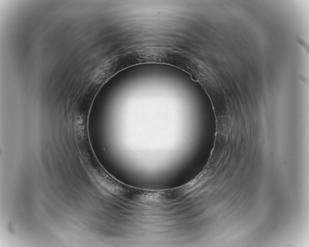 X0000097290086200802221322