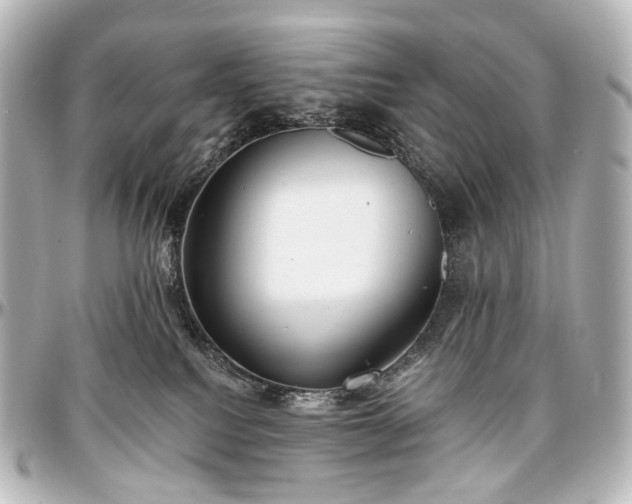 X0000097290088200802221322