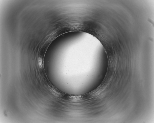 X0000097290089200802221322